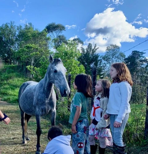 Cabalgatas en Finca Villa Beatriz